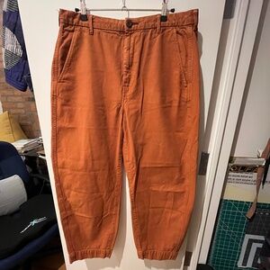 Everlane 100% Cotton Size 12 barrel leg autumn burnt orange pants